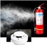 Fire Extinguishers and Smoke Detectors